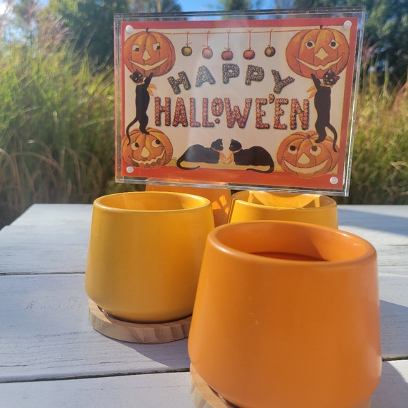 Orange & Yellow Succulent Planters ~ Vases  Candle Holders Boho  Cottage FINAL! - Picture 14 of 16